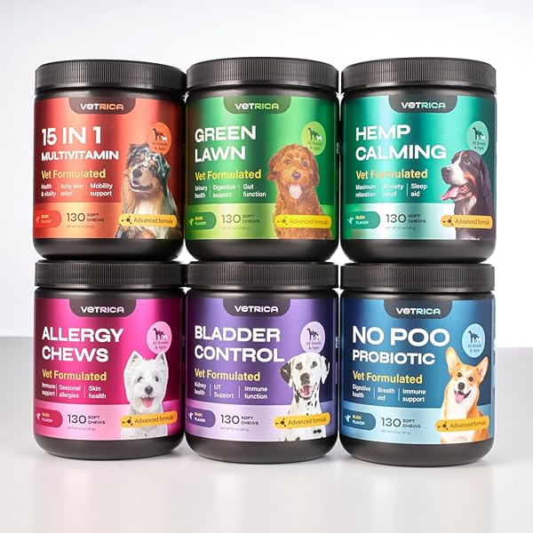 DOG UTI TREATMENT – BLADDER CONTROL CRANBERRY CHEWS – CRANBERRY SUPPLEMENT FOR IMMUNE FUNCTION, URINARY TRACT, BLADDER & KIDNEY HEALTH – D-MANNOSE SOFT TREATS FOR DOG INCONTINENCE – ALL BREEDS & AGES