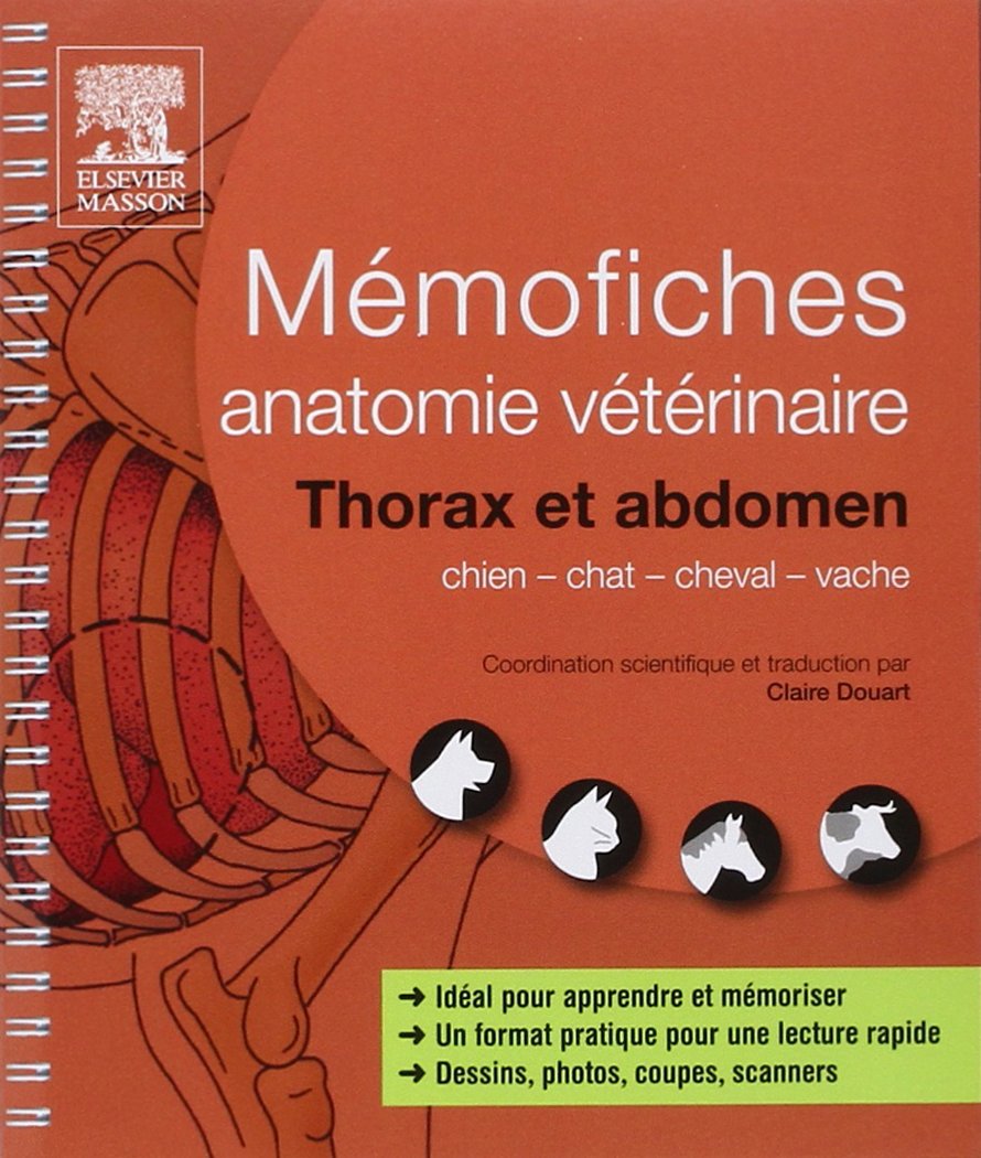Memofiches Anatomie Veterinaire Thorax Et Abdomen Chien Chat Cheval Vache Hors Collection French Edition Douart Claire Amazon Com Books