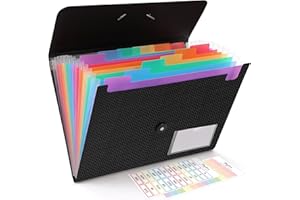 SKYDUE Expanding File Folder, Accordion File Organizer with 13 Pockets for A4/Letter Sized Paper, Accordion Folder with Labels - Document Receipt Organizer for Office, School, Home