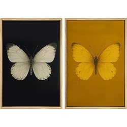 MUDECOR Framed Canvas Print Wall Art Set Butterfly