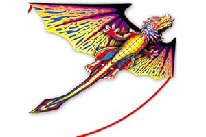 SGftre 3D Red Pterosaur Kite for Boys & Adults Easy to Fly,Beach Trip Outdoor Games Single Line String with Tail,Beach Kite for Family Outdoor Activities