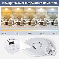 NIORSUN 12 inch Flush Mount LED Ceiling Light