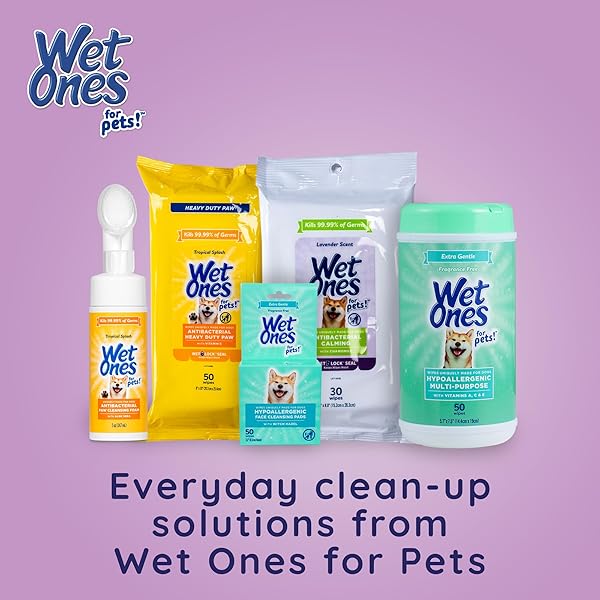 WET ONES FOR PETS ANTIBACTERIAL CALMING WIPES WITH CHAMOMILE, LAVENDER SCENT – DOG CLEANING WIPES – SCENTED, DURABLE AND DISPOSABLE DOG WIPES FOR PAWS, 30 COUNT