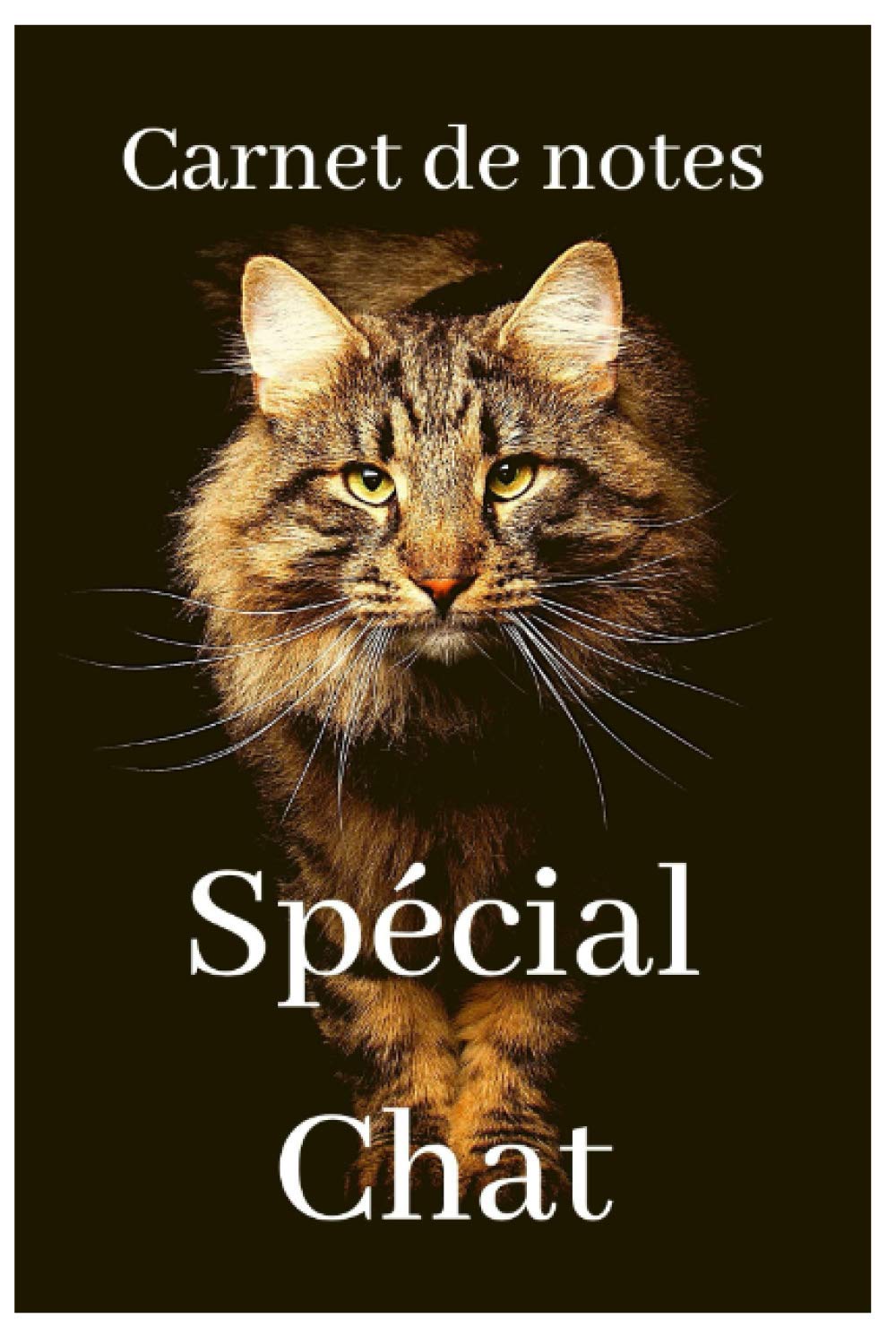 Carnet De Notes Special Chat Chaton Persan Main Coon British Shorthair Bengal Siamois Siberien Bombay Angora Turc Savannah Chartreux Korat French Edition Nottet Charlotte Amazon Com Books