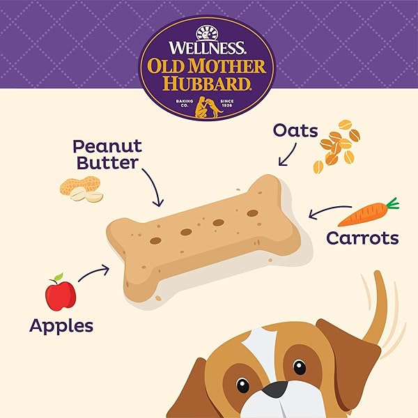 WELLNESS OLD MOTHER HUBBARD CLASSIC P-NUTTIER DOG BISCUITS, NATURAL TRAINING TREATS, PEANUT BUTTER FLAVOR, LARGE SIZE, 6 LB BOX