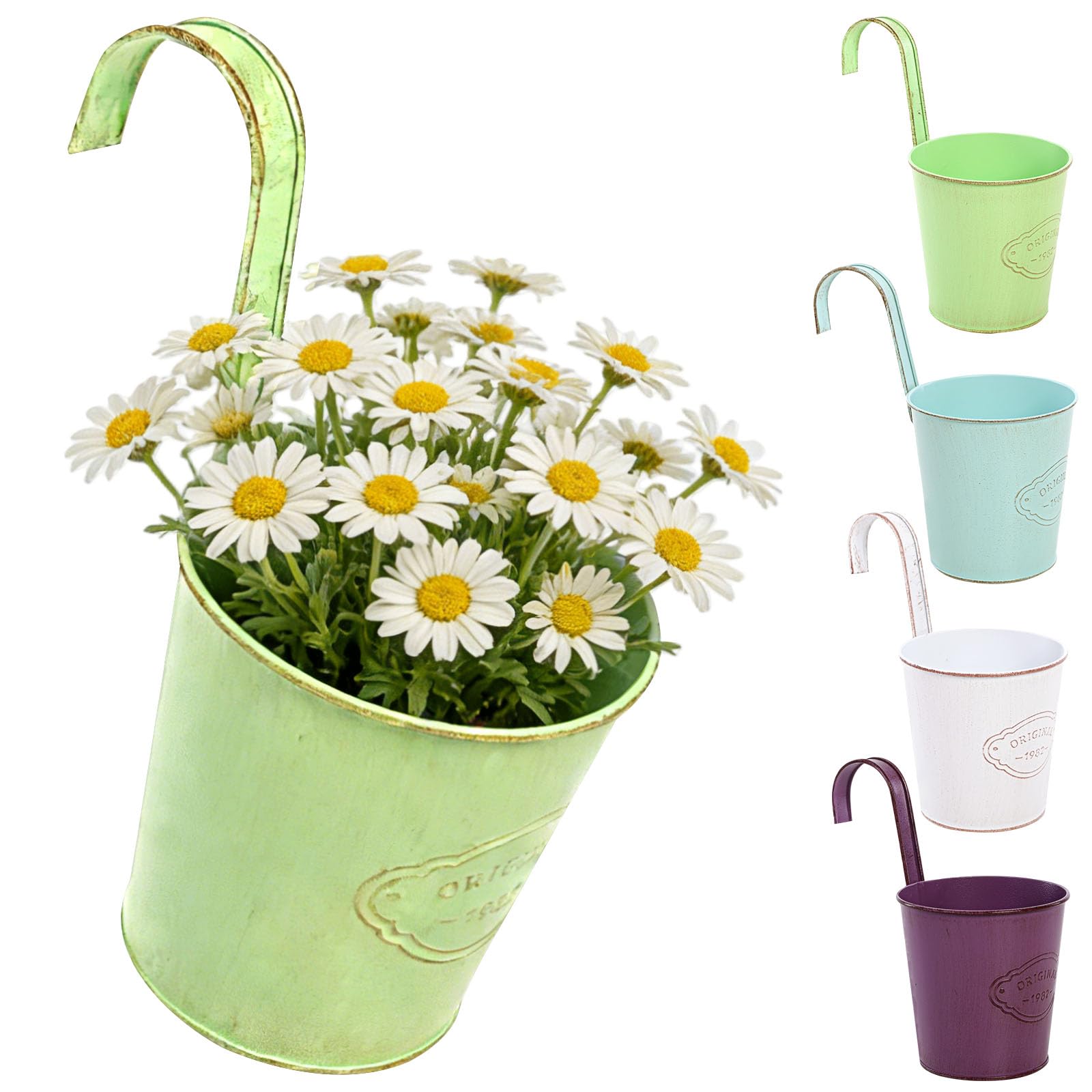 CITÉTOILE 4 Pcs Metal Hanging Flower pot With Drainage Hole, Colorful Small Plant Pot Vase With Detachable Hook, Vintage Style Decor for balcony Wall Home Office Garden Outdoor et Intdoor
