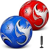 HyDren 2 Pcs Soccer Balls with Pump Official Size Soccer Ball for Game Training Indoor Outdoor Sport Gift for Child Youth Adult Back to School