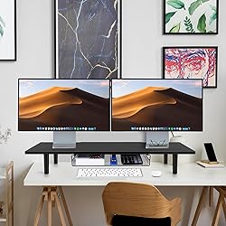 LOTEYIKE Dual Monitor Stand for 2 Monitors, Large