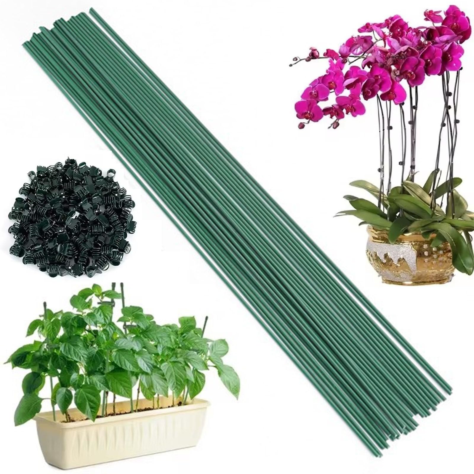 20Pcs Plant Sticks Support, 30CM Single Stem Plant Support Stakes, Garden Plant Sticks Support with 20 Orchid Clips for Peonies Tomatos Rose Plant Climbing