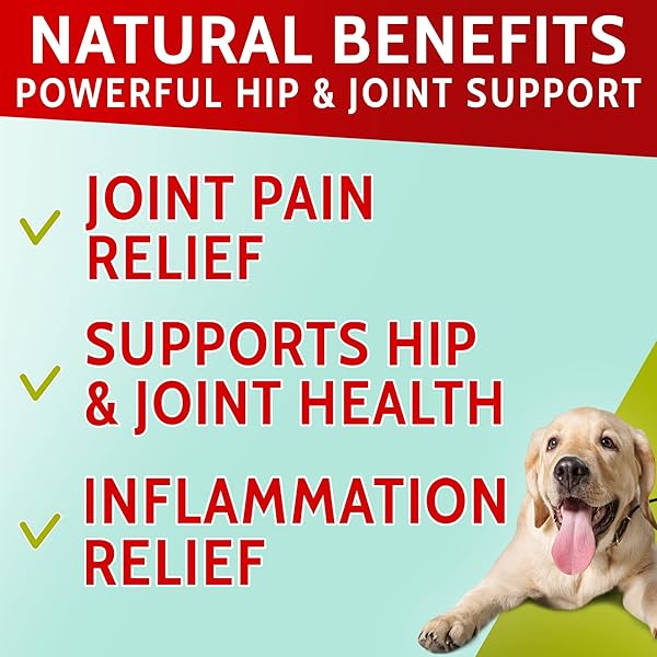 PAWFECTCHEW HEMP TREATS FOR DOGS – HIP AND JOINT SUPPLEMENT W/GLUCOSAMINE, CHONDROITIN, MSM, OMEGA 3 – JOINT PAIN RELIEF – ADVANCED FORMULA – SENIOR DOG AID – MADE IN USA – 120 CHEWS