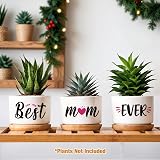 Buioata Mum Gifts Succulent Plant Pots Set of 3 Home Decor view 2
