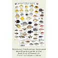 Monchong Fish: The Sustainable Seafood Choice from Hawaii’s Deep Waters Monchong Fish: The Sustainable Seafood Choice from Hawaii’s Deep Waters