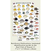Hawaii Reef Fish 1 Identification Guide (Laminated Single Sheet Field