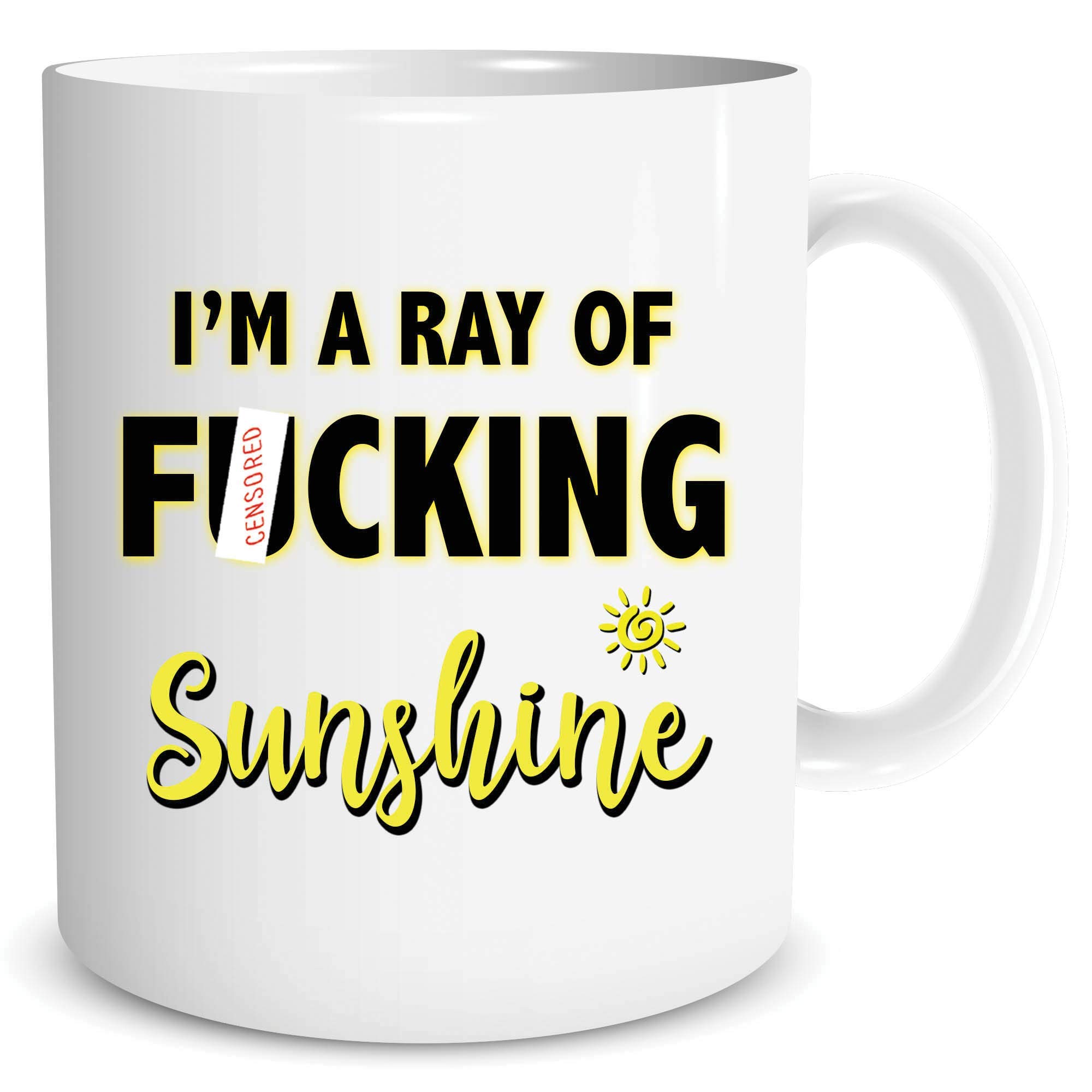 Funny Mug Gift for Her Novelty Mug Gift for Boss Best Friend Coffee Mug Girlfriend Ceramic Mug Birthday Christmas Colleague Jokes WSDMUG1368