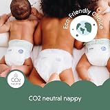 Delipap Moomin Baby Eco Nappies Size 6 12-24 kg 34 Diapers view 4