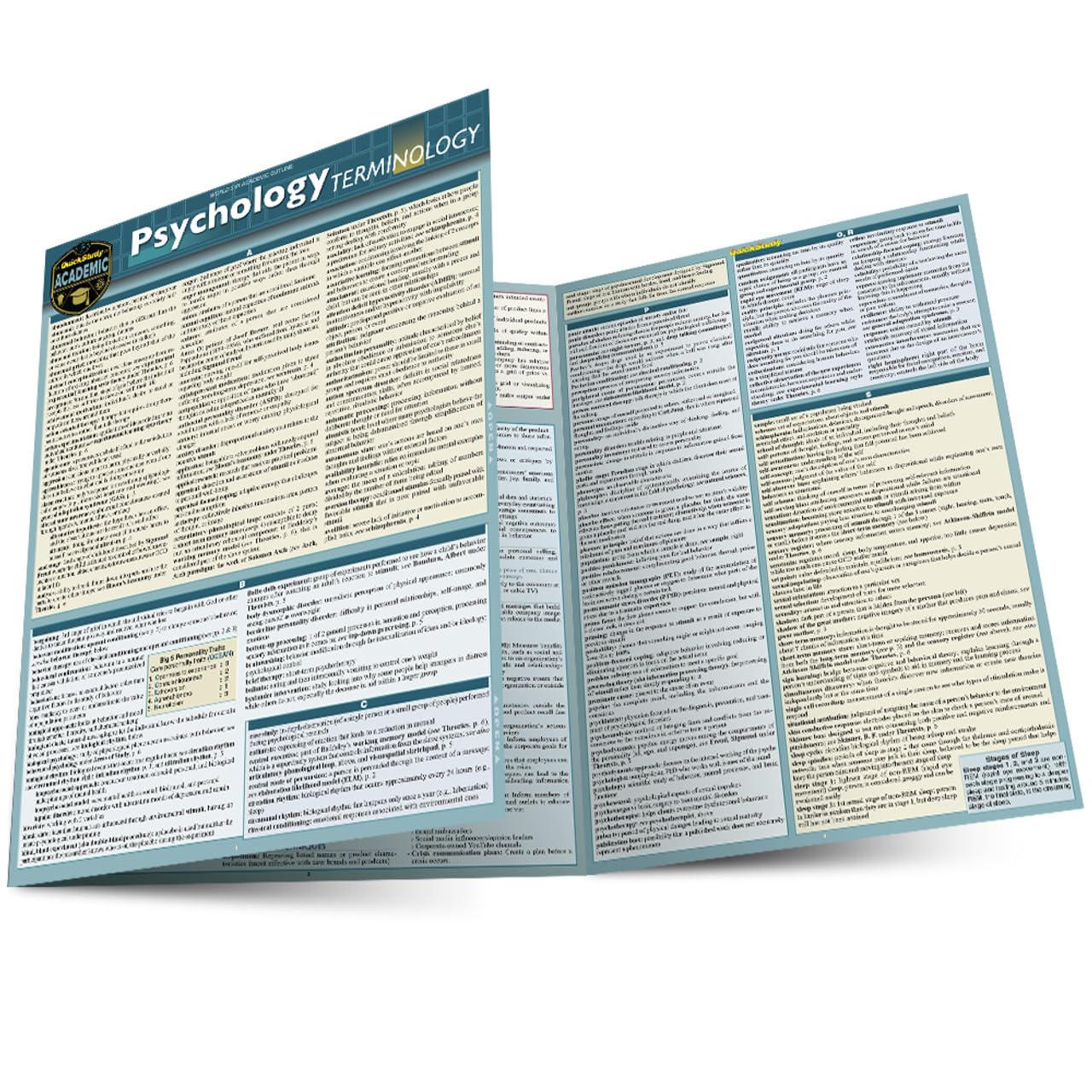 Photo 1 of Psychology Terminology: a QuickStudy Laminated Reference Guide (QuickStudy Academic)