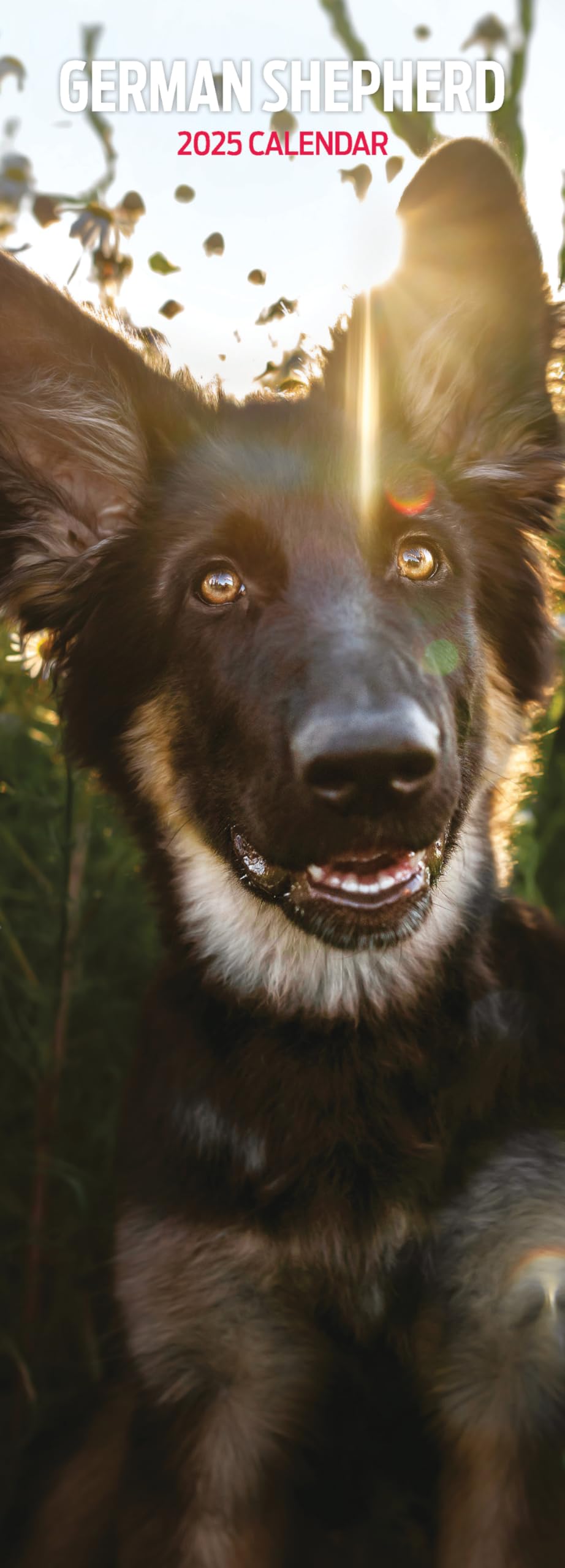German Shepherd 2025 Slim Calendar