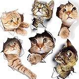 6PCS 3D Wall Stickers Cats Self Adhesive, Kids Wall Decals/Removable Vinyl Art Murals for Living Room Baby Rooms Bedroom Toil