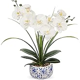 Oairse White Orchids Artificial Flowers in Pot 17.7" Faux Orchids Plant in Blue and White Pot Real Touch Fake Phalaenopsis Flower Arrangement Dinner Table Centerpiece for Dining Room Bathroom Decor
