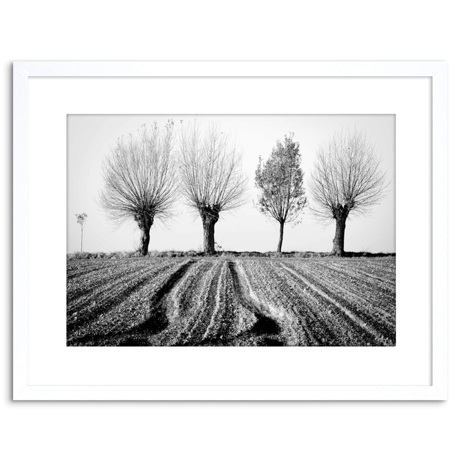 Wee Blue Coo 9x7 '' TREES HORIZON BLACK WHITE FRAMED ART PRINT PICTURE MOUNT PHOTO F97X1560 โ image 1