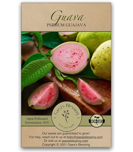 Amazon.com : 20 Seeds Strawberry Guava Tree Seeds | Psidium cattleianum  Edible Garden Fruit Plant : Patio, Lawn & Garden