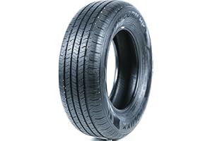 Evoluxx Capricorn HP All-Season Passenger Car Performance Radial Tire-215/65R16 215/65/16 215/65-16 98H Load Range SL 4-Ply Black Side Wall UTQG 700AA