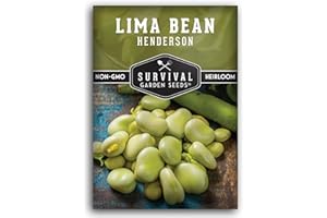 Lima Bean Seeds for Planting – Henderson Butter Bean Seeds for Gardens & Classroom Science Projects, Easy to Grow Non-GMO Heirloom Variety - Survival Garden Seeds (1 Pack)