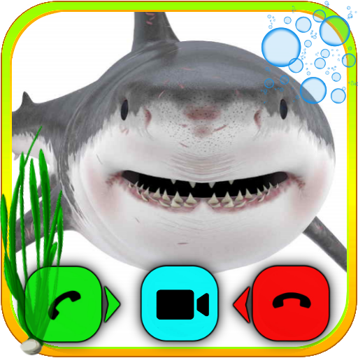White Shark Video Call Prank