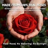 Yamonic Preserved Real Rose in Glass Angel Gift for Mum, Wife, Nana view 3