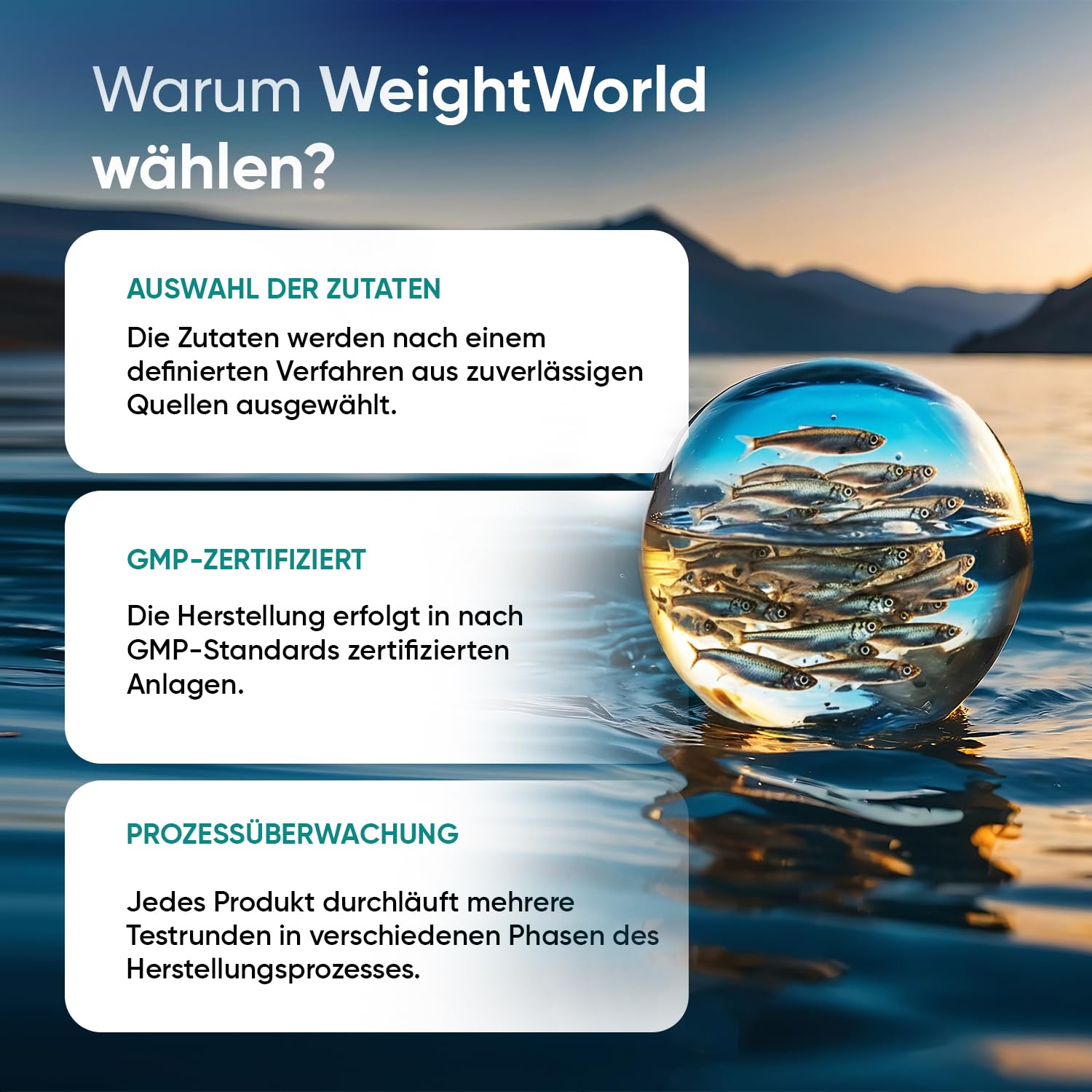 WeightWorld Omega 3 Weichkapseln - 2000mg Fischöl - 660mg EPA & 440mg DHA 9