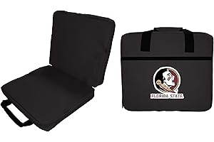 R AND R IMPORTS Florida State Seminoles Double Sided Seat Cushion Officially Licensed Collegiate Product