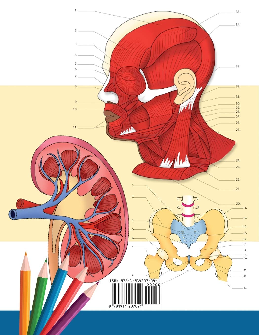 Anatomy and Physiology Coloring Book: Incredibly Detailed Self-Test Color workbook for Studying | Perfect Gift for Medical School Students, Doctors, Nurses and Adults