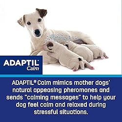 ADAPTIL Dog Calming Pheromone Diffuser, 30 Day
