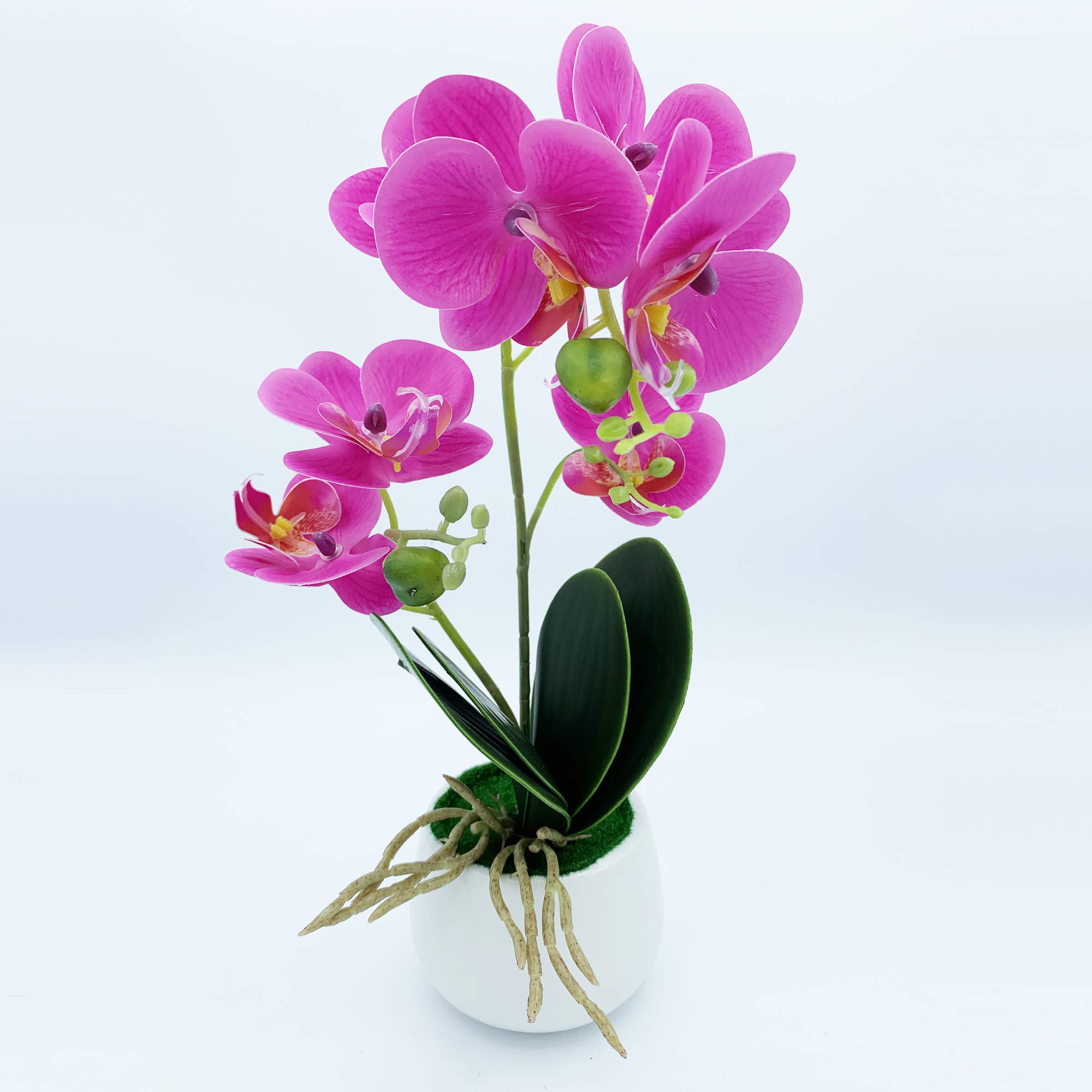 WELL HOME MOBILIARIO & DECORACIÓN 42cm Natural Touch Orchid Plant in Lilac with Ceramic Pot