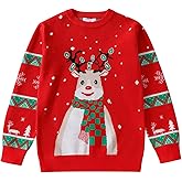 EDFTM Kids Boys Christmas Sweater Reindeer Snowflakes Classic Holiday Knitted Sweater Crewneck Cute Ugly Pullover Jumper