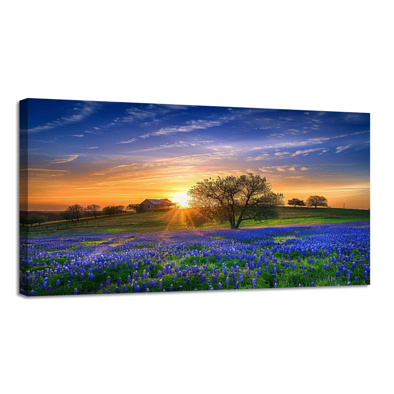 Photo 1 of ** NEW ** Large Canvas Wall Art Texas bluebonnet field sunrise Canvas Prints Framed Painting Modern Artwork Abstract Stretched Poster Home Decoration Unique Gift 30"x60"