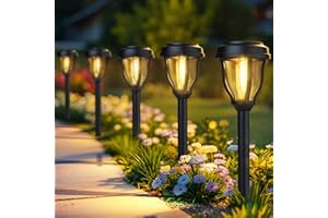 DERAYSION 12 Pack Solar Lights Outdoor, Solar Pathway Lights Auto On/Off Waterproof Garden Landscape Lighting for Path, Yard, Walkway, Driveway Decor