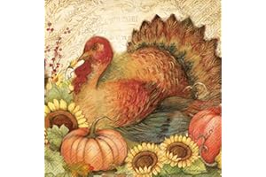 Boston International C831900 IHR Cocktail Beverage Paper Napkins, 5 x 5-Inches, Filigree Turkey