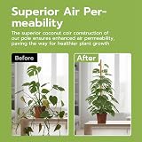 Mcbazel Moss Pole 2-Pack 60cm Bendable Coir Plant Support with Ties view 6