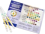 One Step 15 x 10 Parameter Urine Test Strips Dipstick Kit view 3