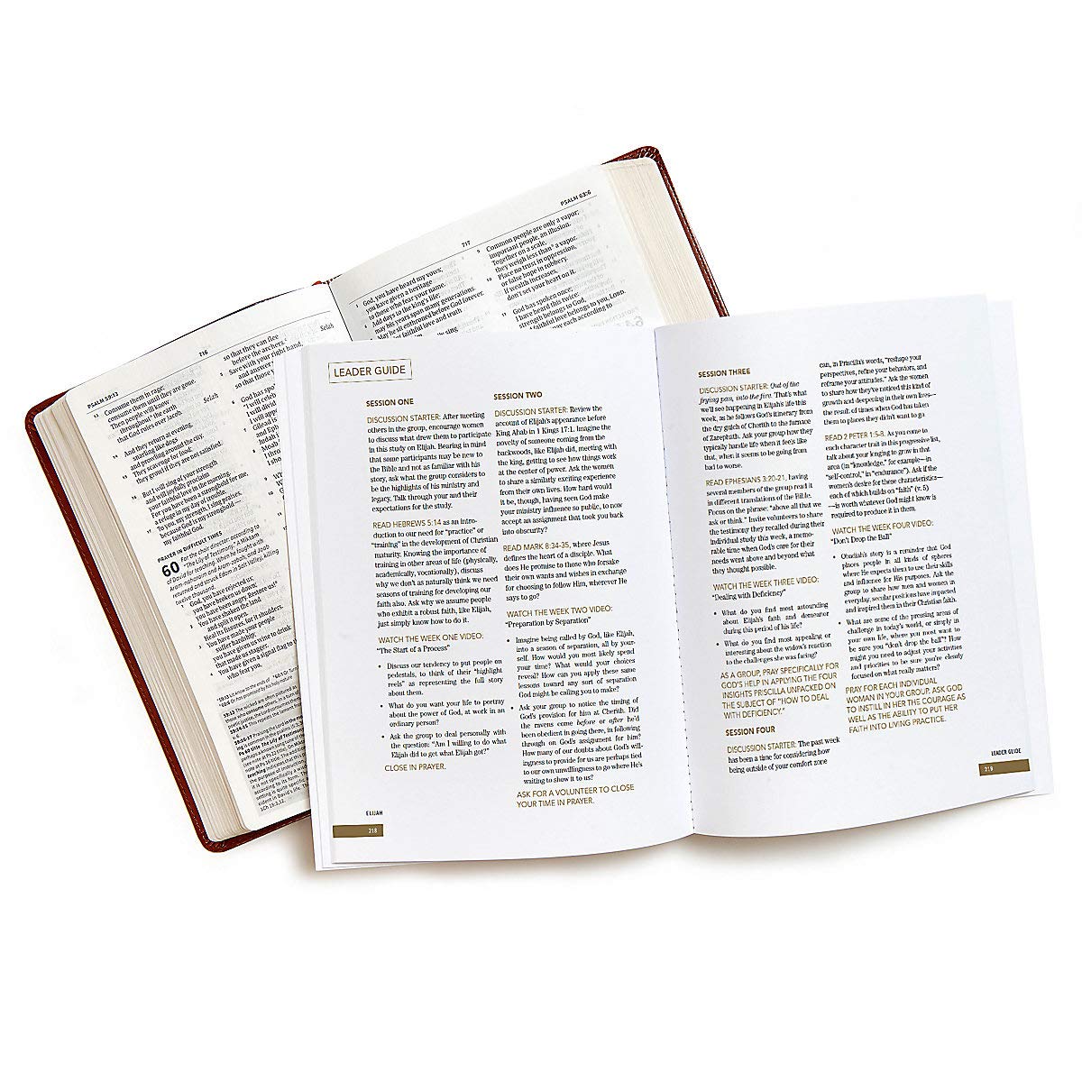 Elijah: Faith and Fire - Bible Study for Women