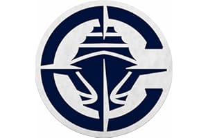 Rico Industries NBA Memphis Grizzlies NBA Primary Logo Shape Cut Pennant, Team color, Item footprint: 18' x 18'