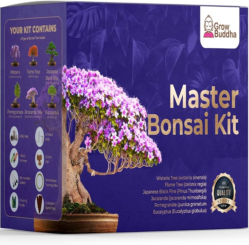 Grow Buddha Master Bonsai Growing Kit - Six Seed Indoor Bonsai Set