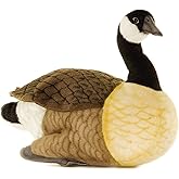Canadian goose18''length