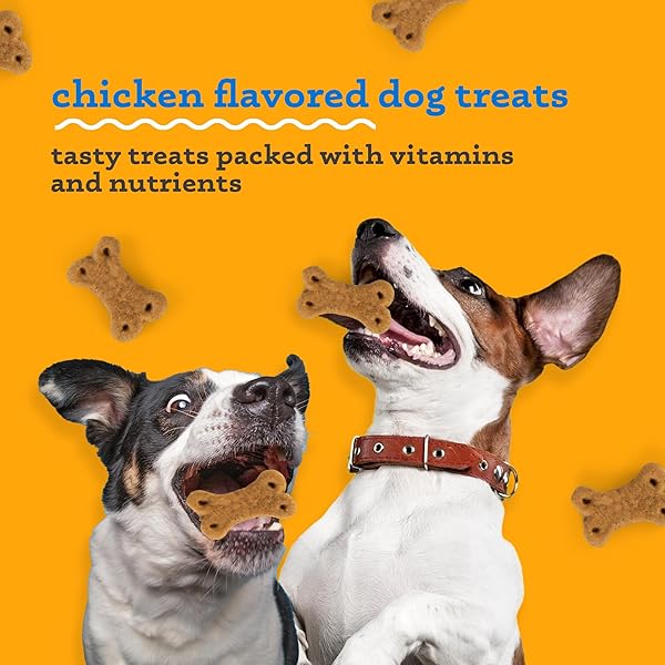 WAGS & WIGGLES SOFT & SHINY TREATS FOR DOGS, CHICKEN FLAVOR – SKIN & COAT SUPPORT FUNCTIONAL TREATS FOR DOGS WITH SALMON FOR SKIN HEALTH, RESEALABLE BAG, 5.5 OUNCE
