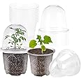 JOPY 4 Inch Plastic Nursery Pots with Humidity Dome for Plants Clear Seed Starter Pots Seedlings Planting Pots for Garden Indoor and Outdoor Small Planter Containers with Drainage Holes (10 Pack )