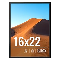 LaVie Home 16x22 Picture Frame for Wall