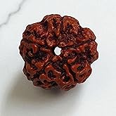 Original 5 Mukhi Rudraksha Bead from Nepal – Five Faced Natural Rudraksh with Lab Certified | Spiritual & Astrological Use | Genuine Elaeocarpus Ganitrus Bead | Unisex for Men & Women