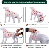 Kuoser Dog Surgery Recovery Suit Soft Cotton Spandex XS Peach Powder view 4