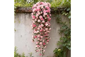 250cm Artificial Peony Flowers Vine Fake Plants Home Room Garden Wedding Decoration Outdoor DIY Arch Rattan Accessory (Spring